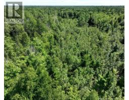 37.8 Hec Bettsburg Road, Bettsburg, NB E9C1L1 Photo 17