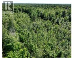 37.8 Hec Bettsburg Road, Bettsburg, NB E9C1L1 Photo 18