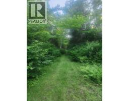 37.8 Hec Bettsburg Road, Bettsburg, NB E9C1L1 Photo 12