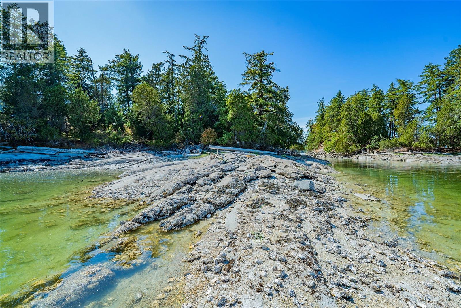 1 Eaglet Island - 8