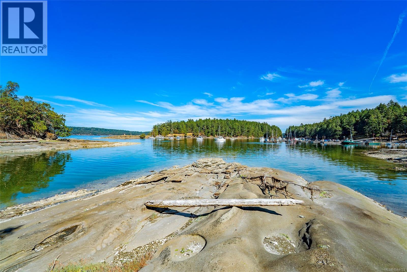 1 Eaglet Island - 11