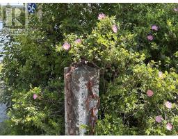 56 Harold Road, Martins Point, NS B0J2E0 Photo 42