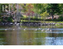 56 Harold Road, Martins Point, NS B0J2E0 Photo 44