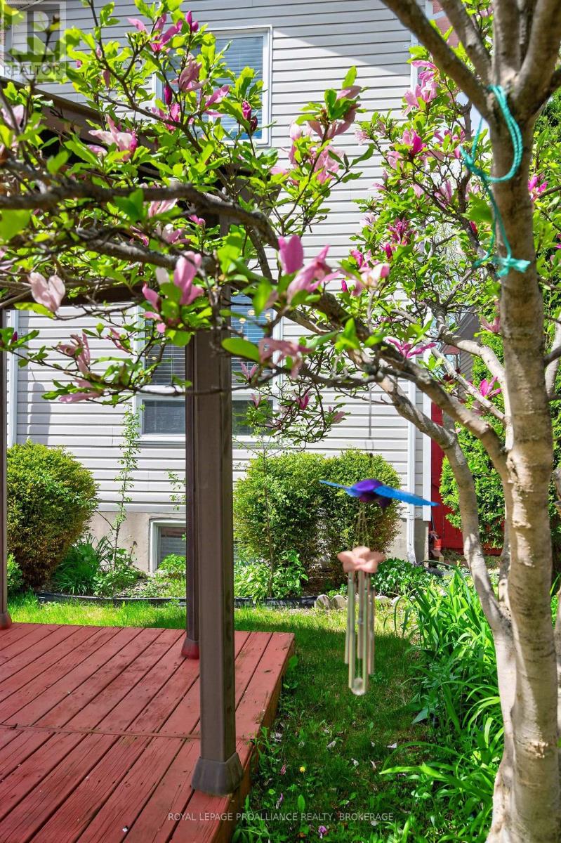 435 MAUREEN STREET - 36