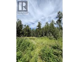 25140 Isle Pierre-reid Lake Road, Prince George, BC V2K5N9 Photo 9