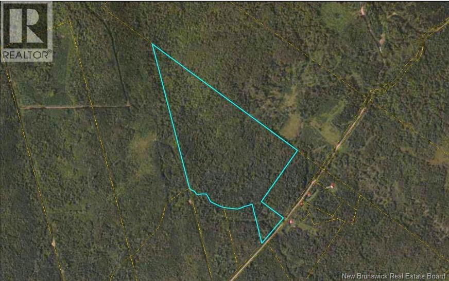 257 Baseline Road - Image 4