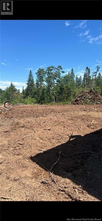257 Baseline Road - 9