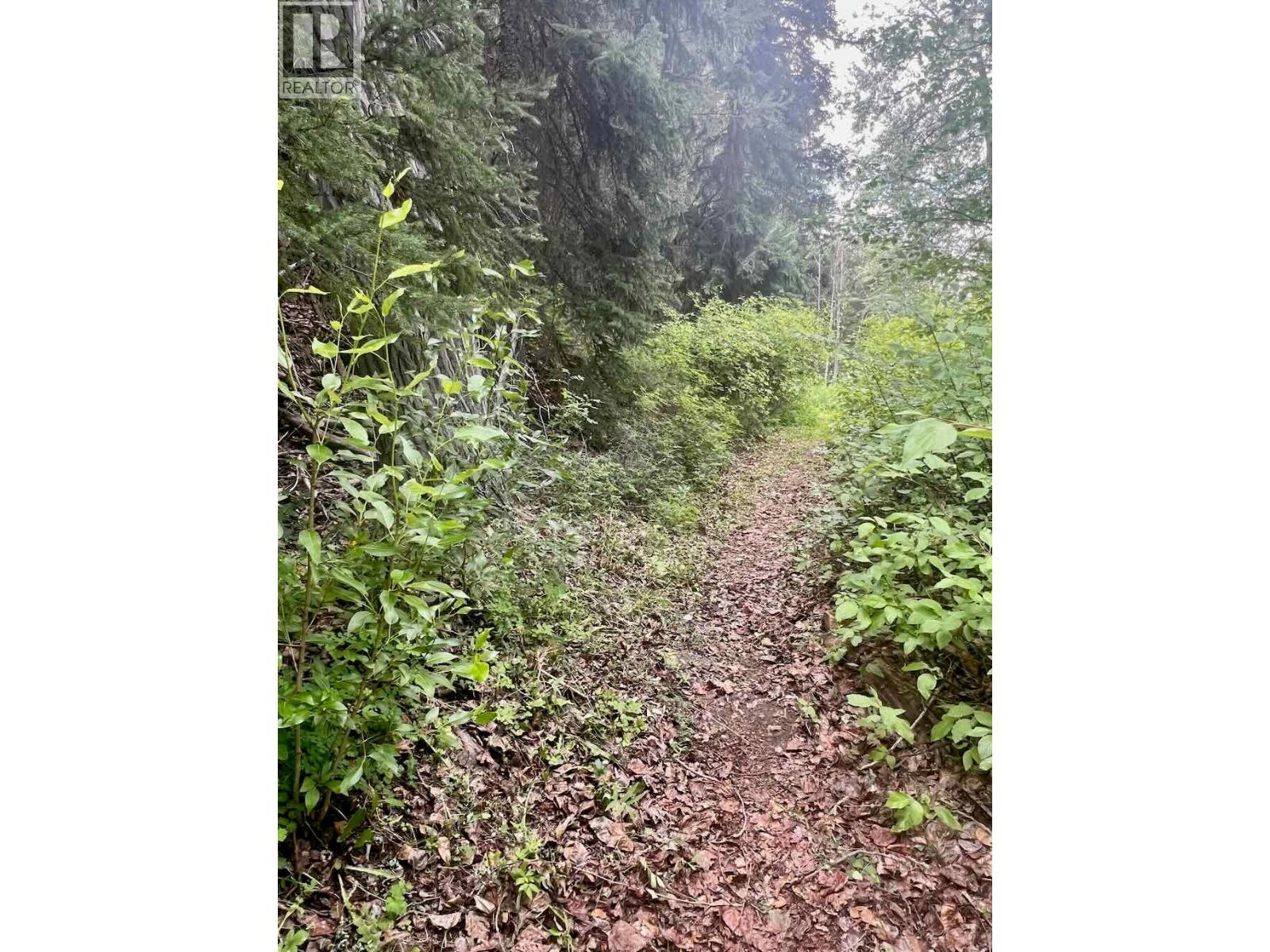 820 KANE VALLEY Road - 15