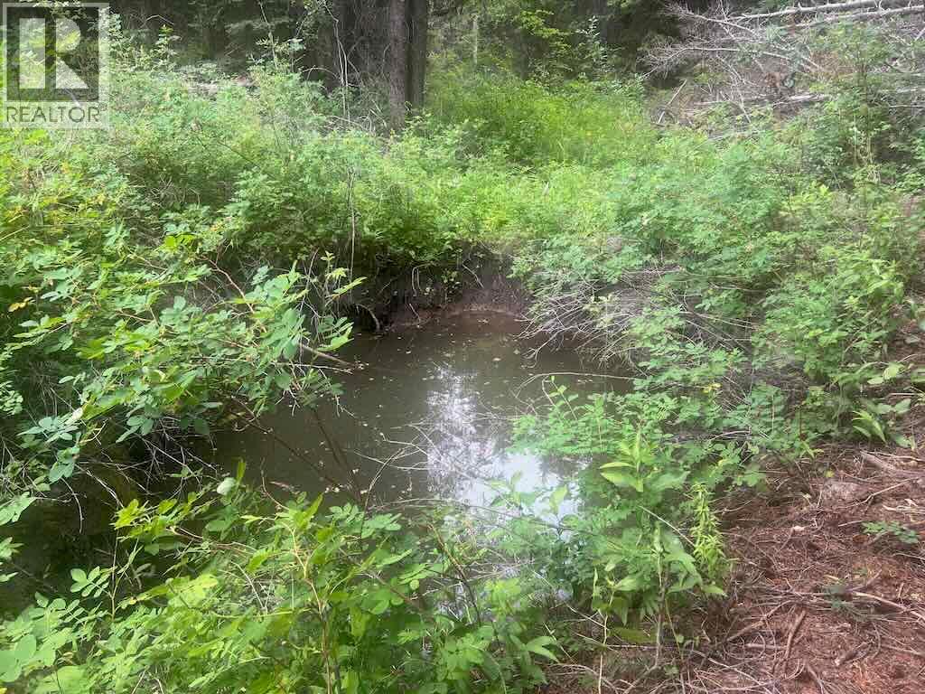 820 KANE VALLEY Road - 17