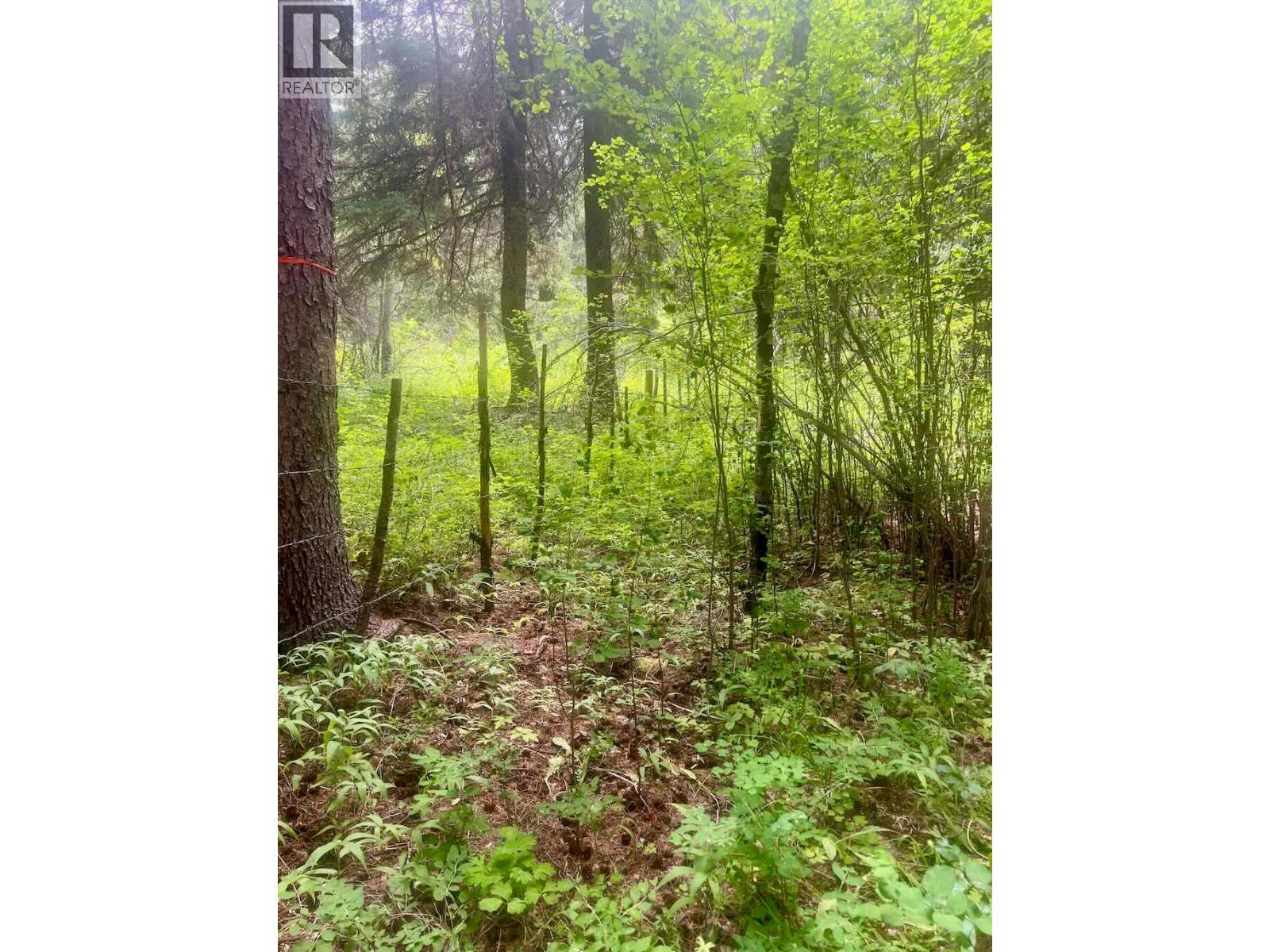 820 KANE VALLEY Road - 19