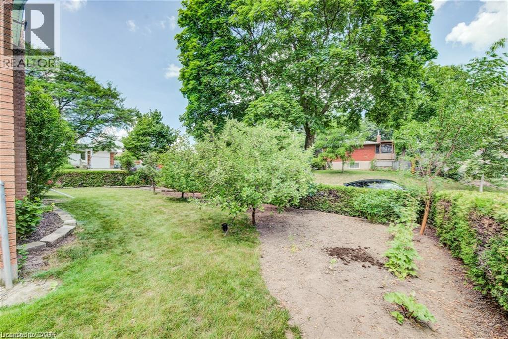 602 HIGHPOINT Avenue - 36