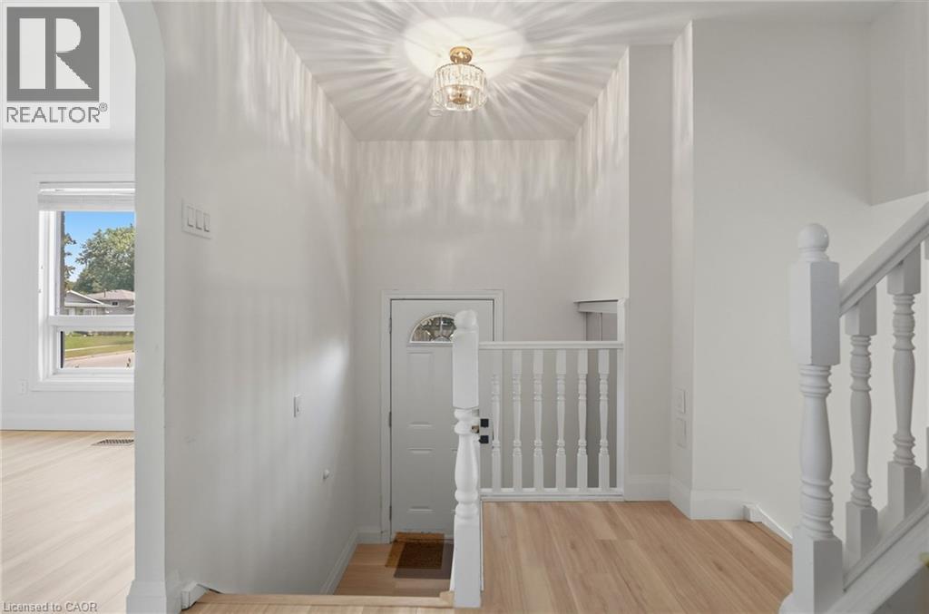 3 PRIDEAUX Street - 8