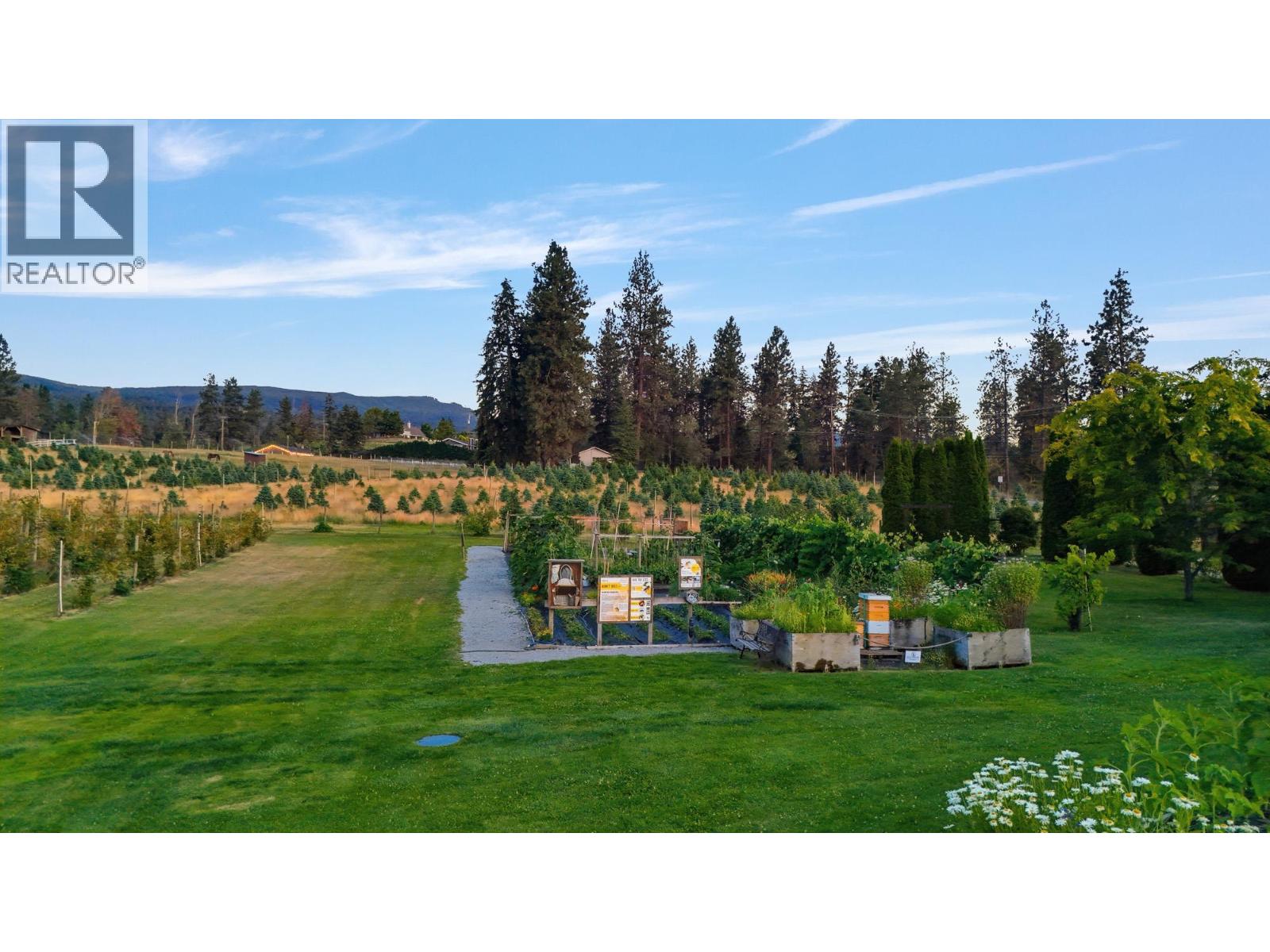 3975 June Springs Road - 30