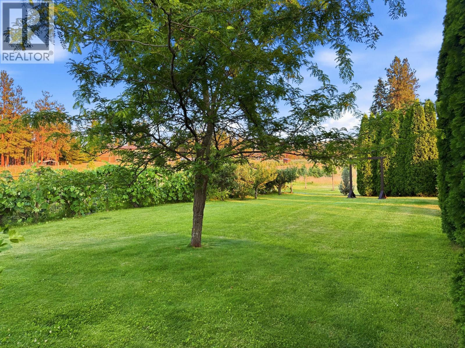 3975 June Springs Road - 31