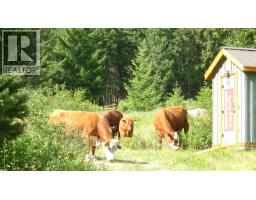 22111 Fountain Valley Road, Lillooet, BC V0K1V0 Photo 54