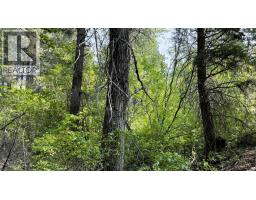 22111 Fountain Valley Road, Lillooet, BC V0K1V0 Photo 57