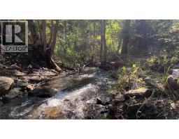 22111 Fountain Valley Road, Lillooet, BC V0K1V0 Photo 60