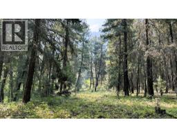 22111 Fountain Valley Road, Lillooet, BC V0K1V0 Photo 62