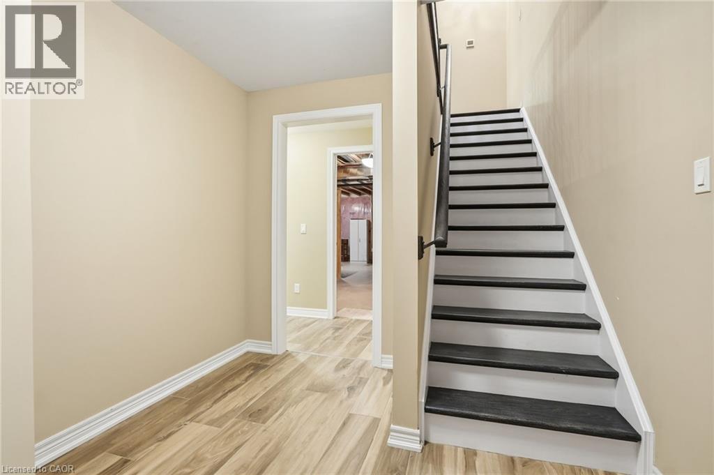 104 ANASTASIA Boulevard - 29