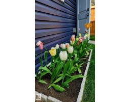 13026 120 St Nw, Edmonton, AB T5E5N9 Photo 34