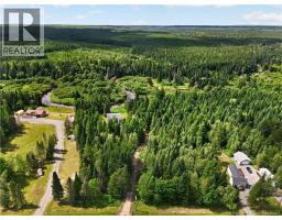 675 Forks Stream Road, Canaan, NB E4Z5Y1 Photo 43