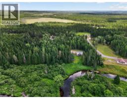 675 Forks Stream Road, Canaan, NB E4Z5Y1 Photo 46