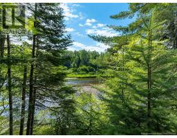 2034 108 Route, Renous, NB E9M2M3 Photo 30