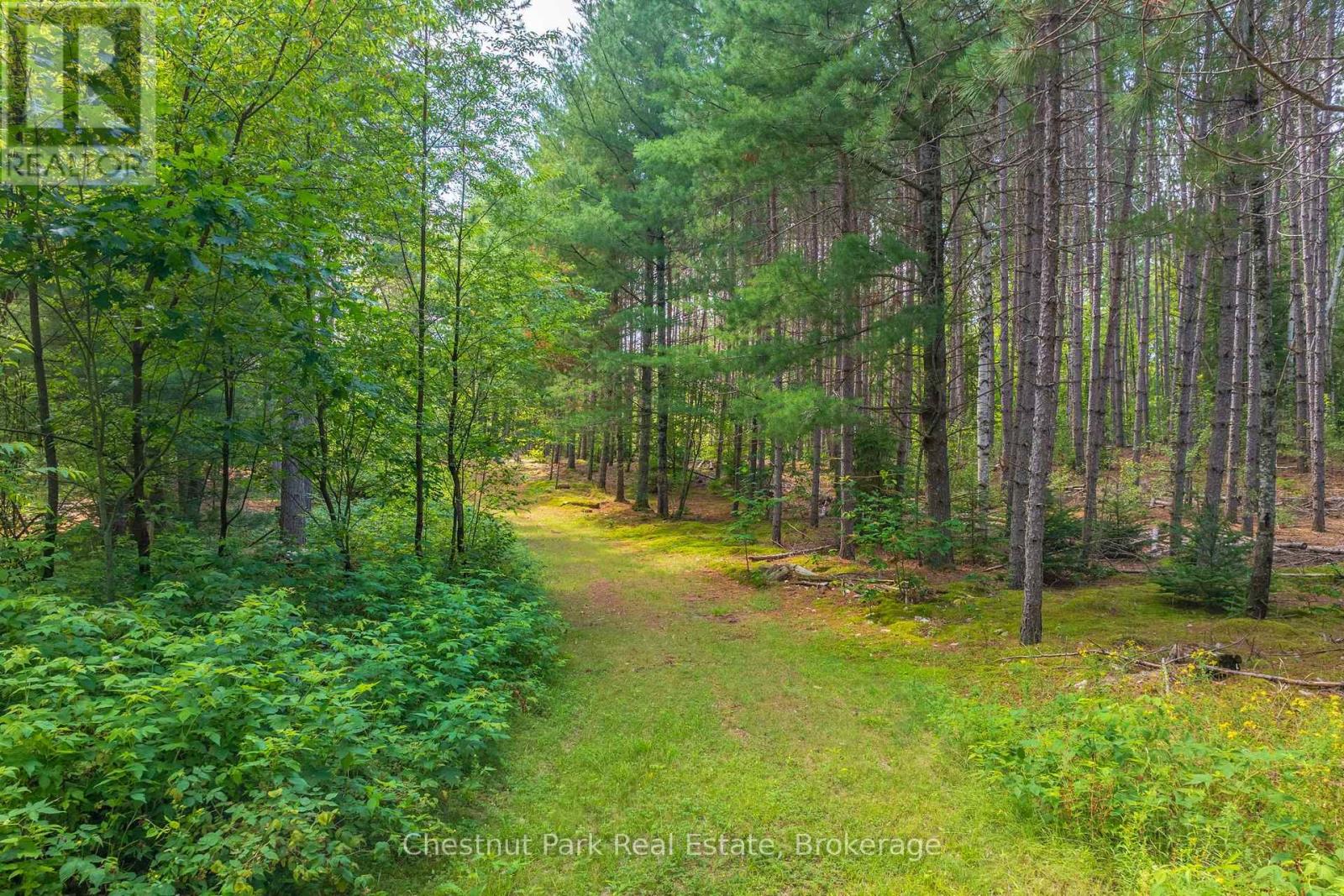 165 JAMES CAMP ROAD - Image 47