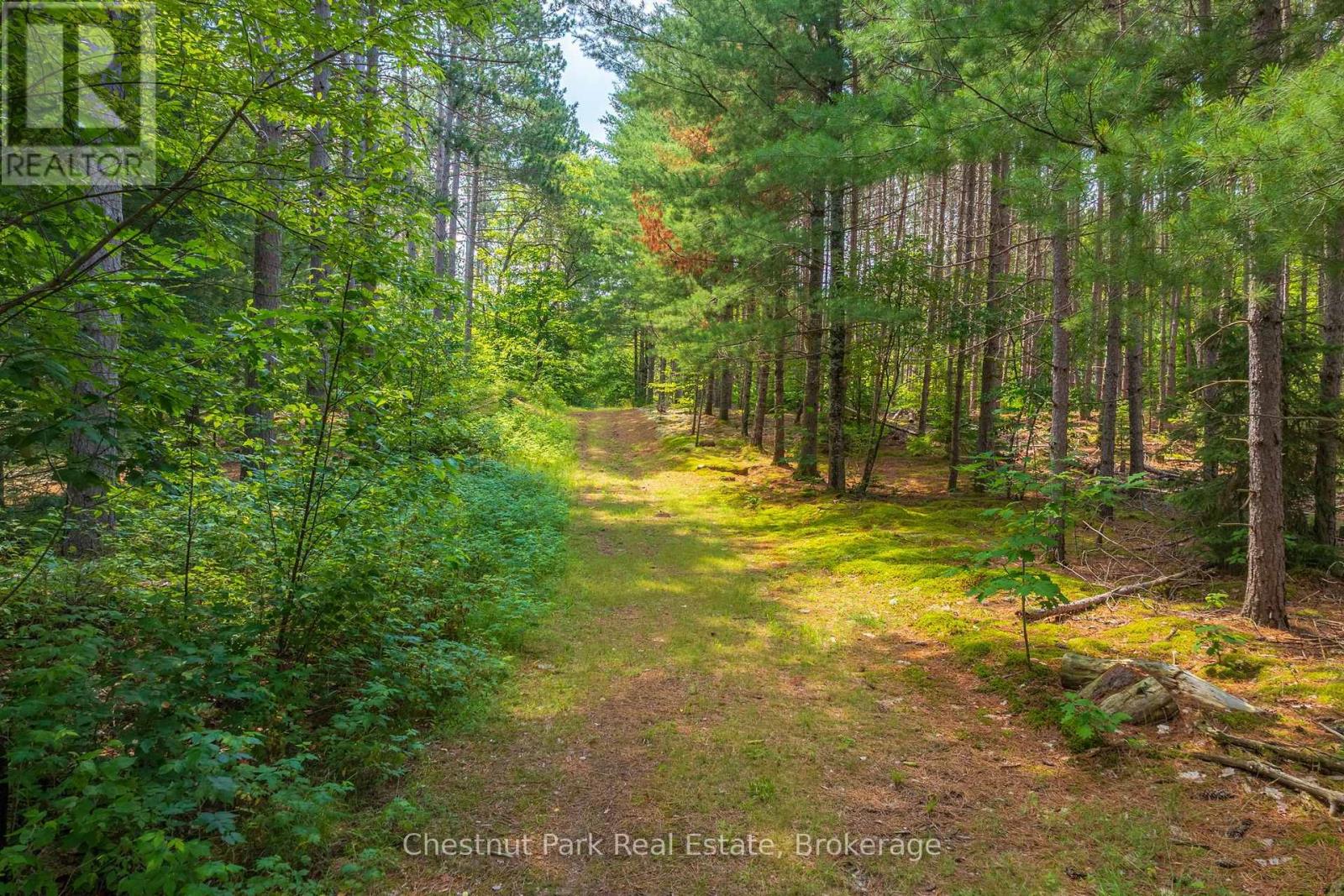 165 JAMES CAMP ROAD - Image 48
