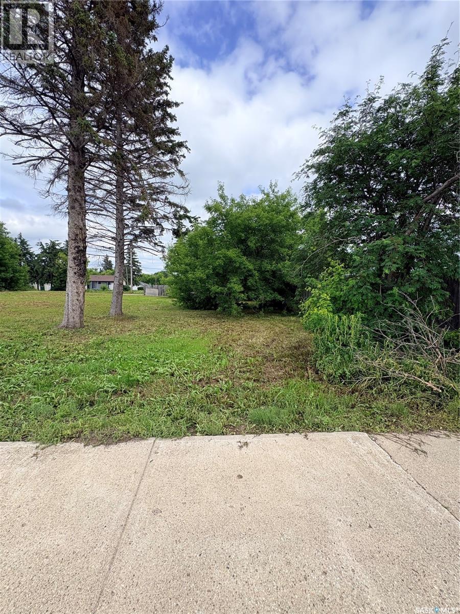 Lots 5-9 Main STREET, Ituna — photo 3