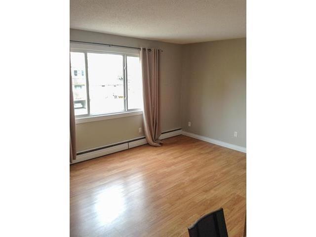 #306 10415 93 ST NW, Boyle Street, Edmonton photo 4