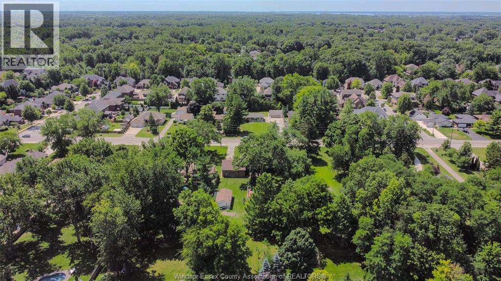 1242 Reaume ROAD - 39
