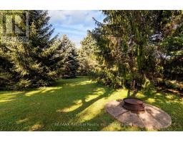 40356 Hydro Line Road, Central Huron, ON N0M1L0 Photo 34