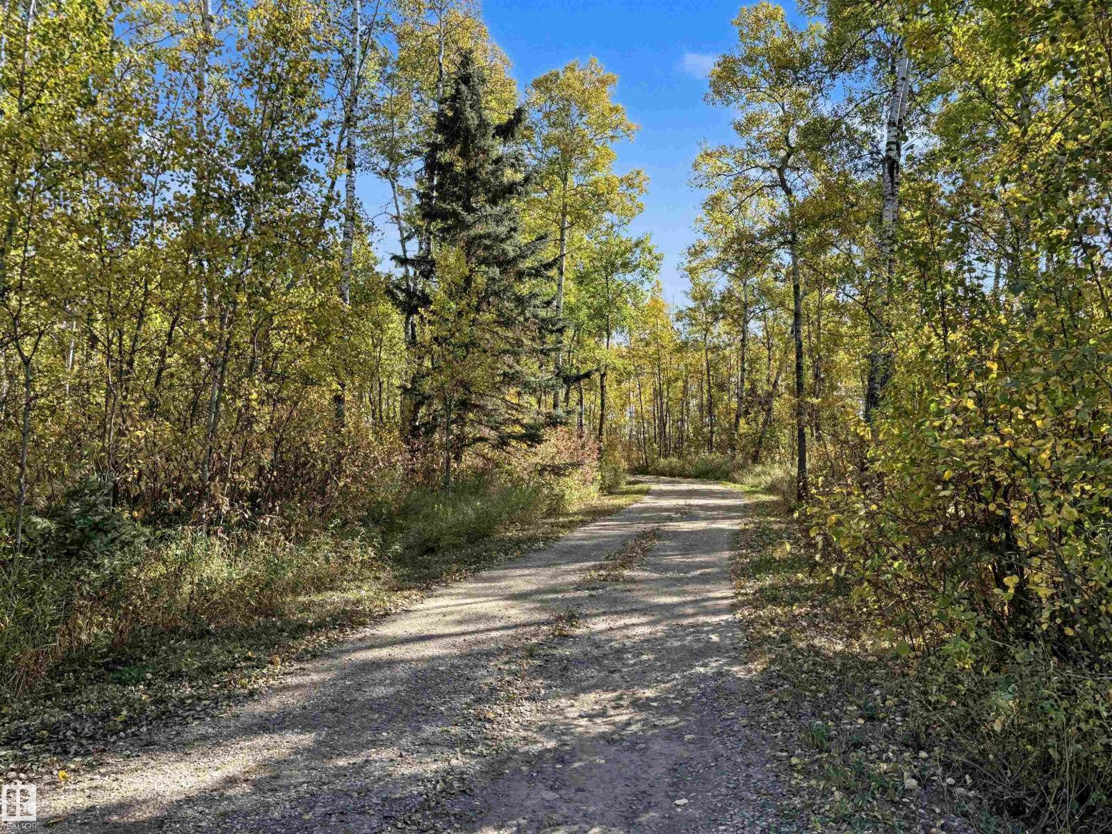 63106 Rge Rd 471 - 45