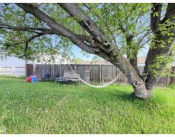 4823 49 St, Clyde, AB T0G0P0 Photo 10