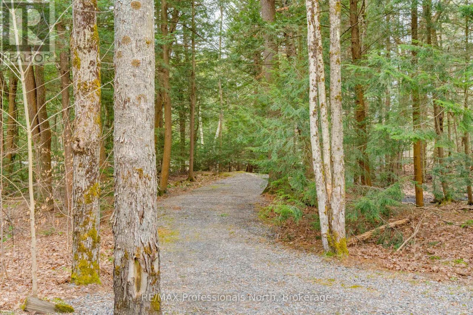 1656 MUSKOKA BEACH ROAD - 50