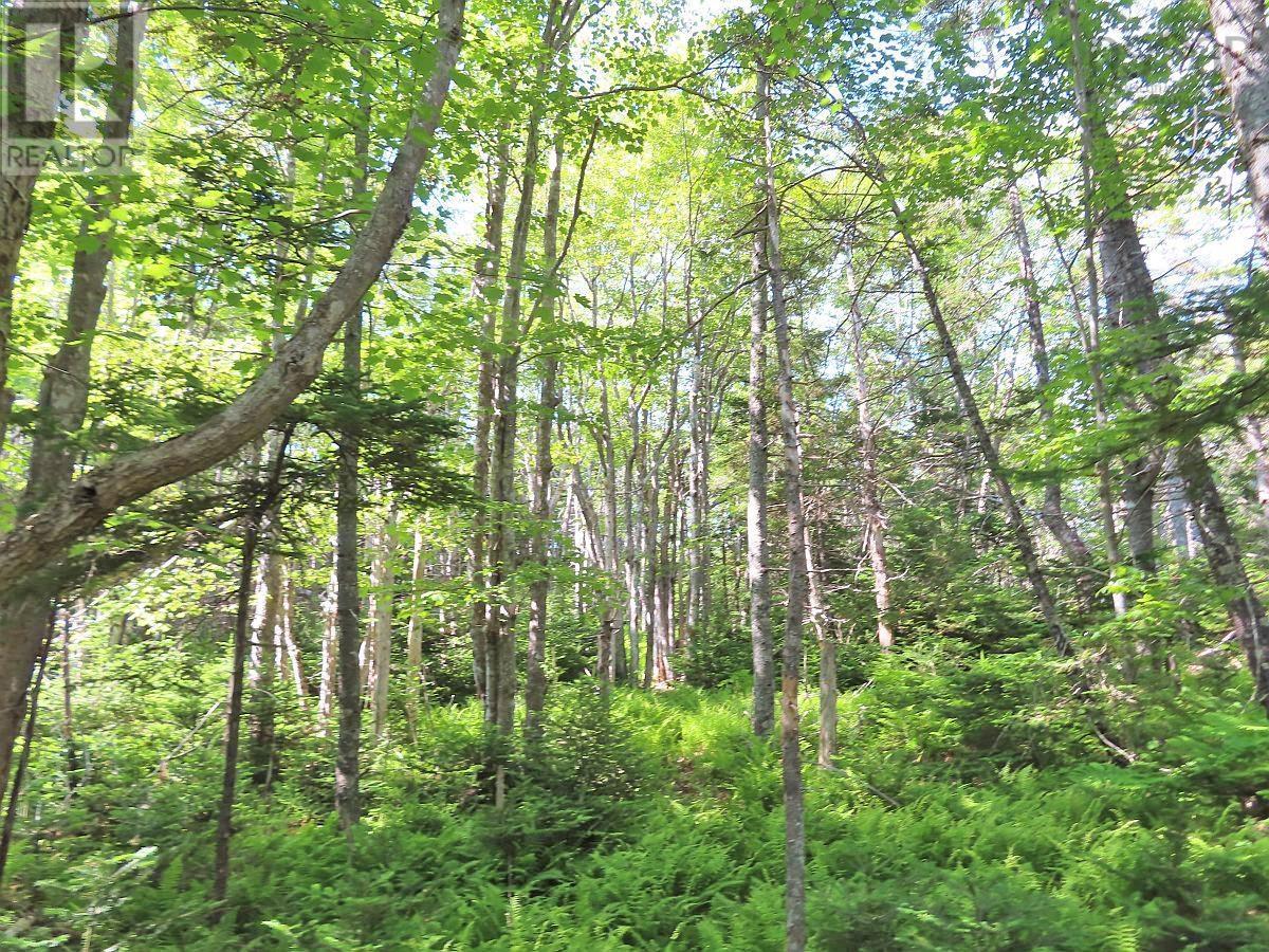 Property 33 of 50 of Lot 14 Perry Lane