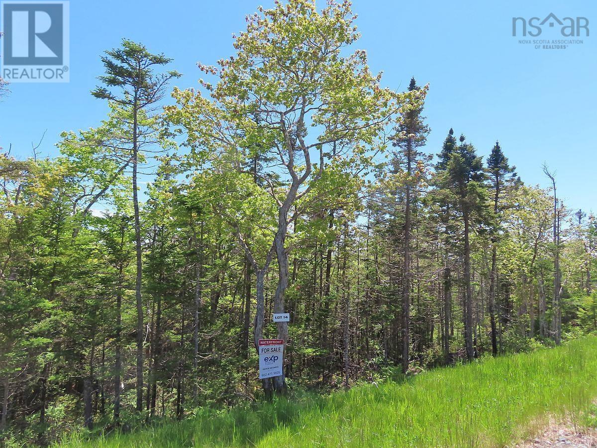 Property 35 of 50 of Lot 14 Perry Lane
