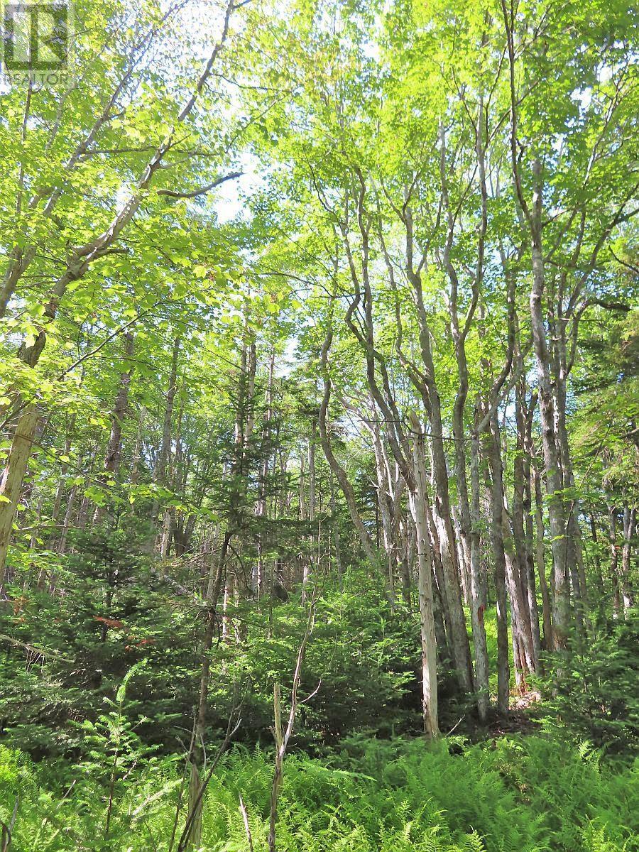Property 31 of 50 of Lot 14 Perry Lane