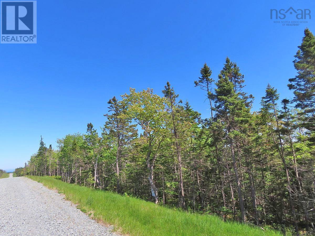 Property 36 of 50 of Lot 14 Perry Lane