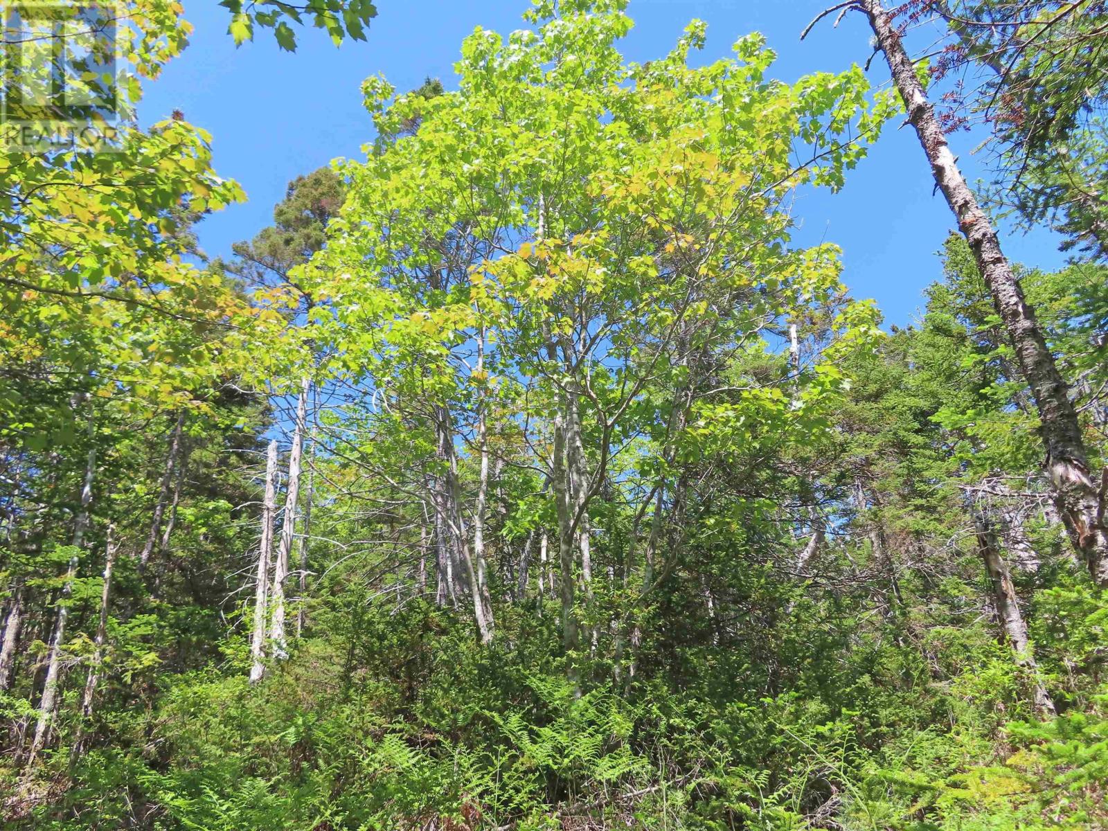 Property 32 of 50 of Lot 14 Perry Lane
