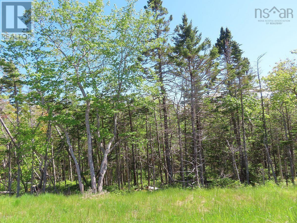 Property 37 of 50 of Lot 14 Perry Lane