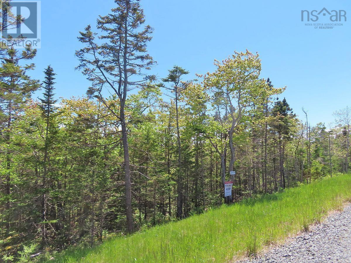 Property 39 of 50 of Lot 14 Perry Lane