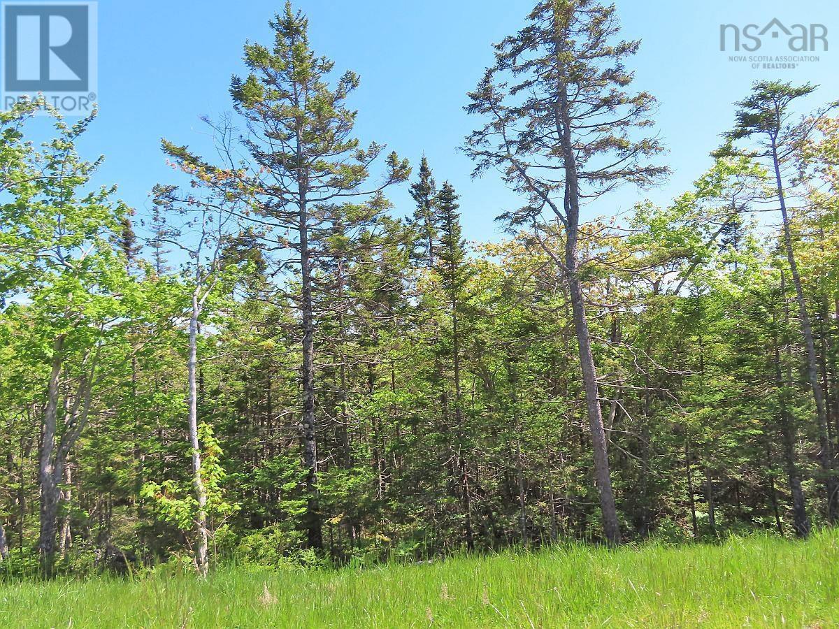 Property 38 of 50 of Lot 14 Perry Lane