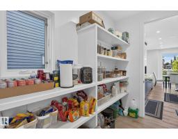 16304 19 Av Sw, Edmonton, AB T6W5J8 Photo 21