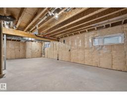 16304 19 Av Sw, Edmonton, AB T6W5J8 Photo 51