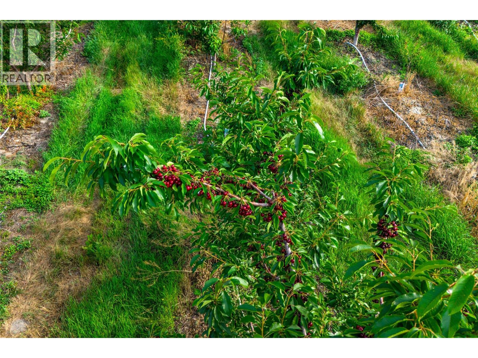  4500 Landry Crescent, Summerland