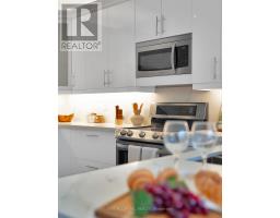 Laundry room - 99a Leyton Avenue, Toronto, ON M1L3T9 Photo 10