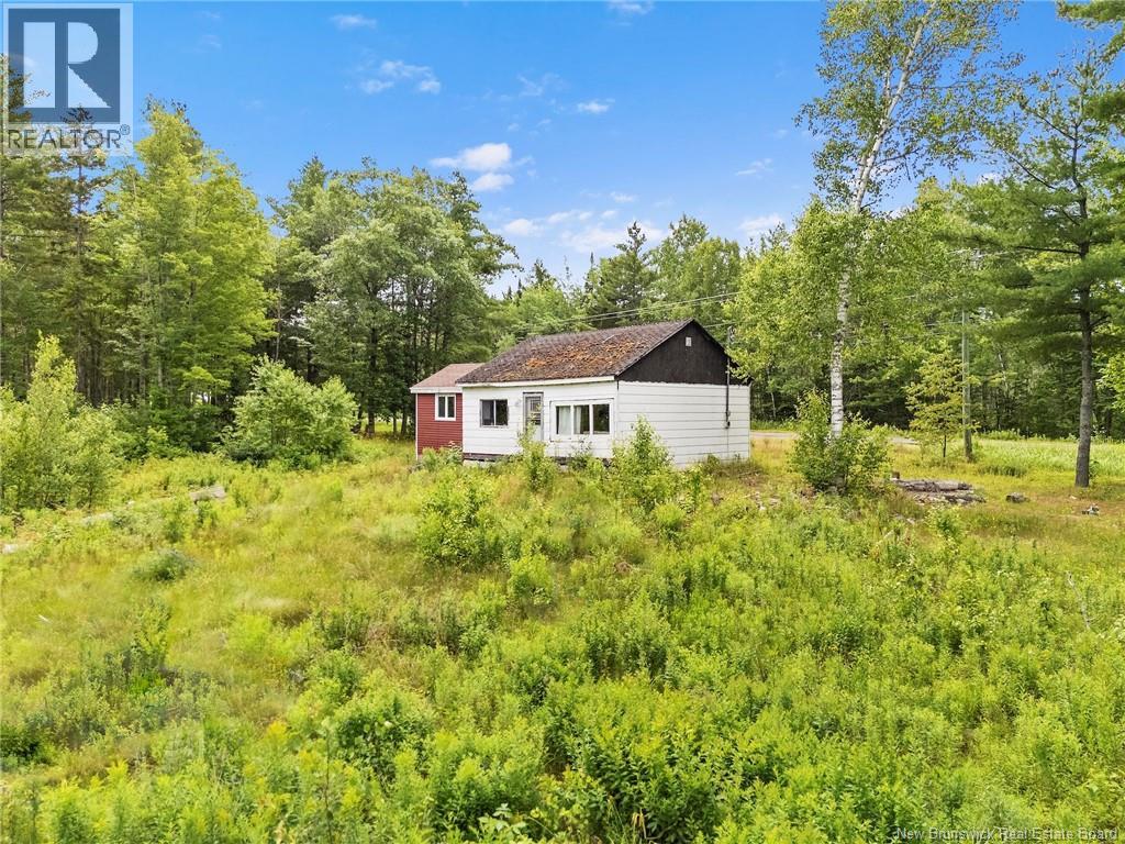 241 Fowler Road - 17