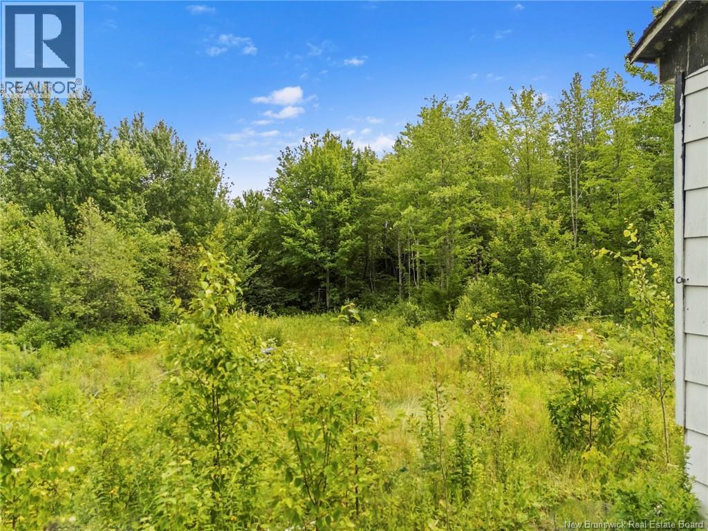 241 Fowler Road - 18
